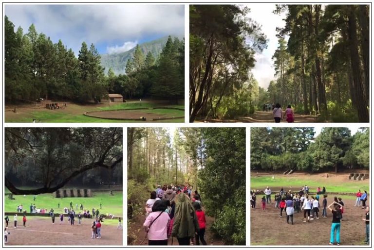 Lee más sobre el artículo Fuimos de excursión… ¡y lo pasamos genial!