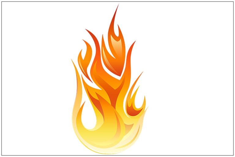 Lee más sobre el artículo ¡FELIZ CUMPLEAÑOS!