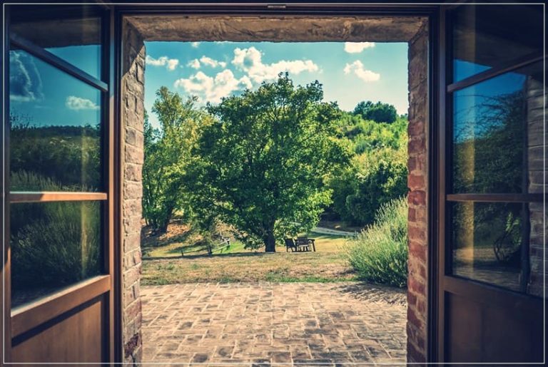 Lee más sobre el artículo LAS PUERTAS ABIERTAS