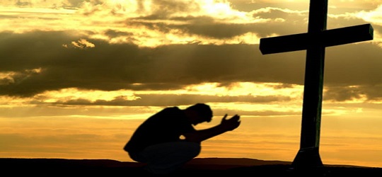 Lee más sobre el artículo LLANTO POR UN AMIGO