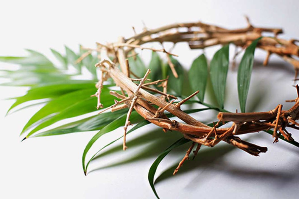 En este momento estás viendo DOMINGO DE RAMOS EN LA PASIÓN DEL SEÑOR